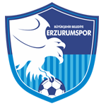 Büyükşehir Belediye Erzurum Spor Kulübü
