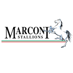 Marconi Stallions FC